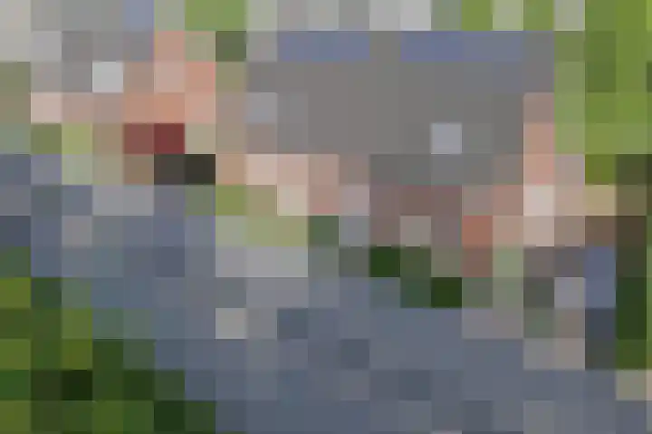 Koevaart Elsloo thumbnail 6