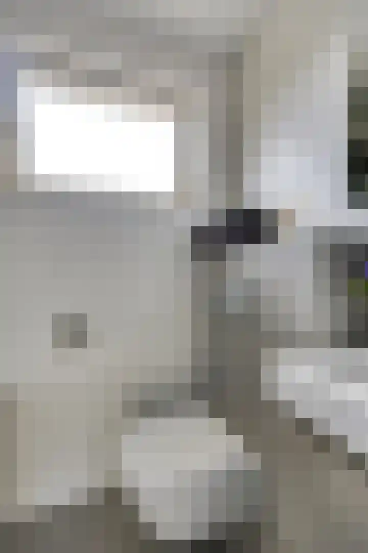 Koevinkje 5 Breda thumbnail 10