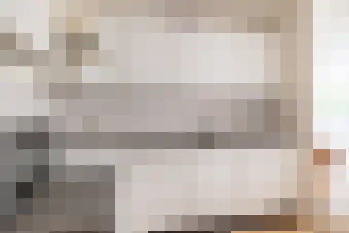 Koevinkje 5 Breda thumbnail 10