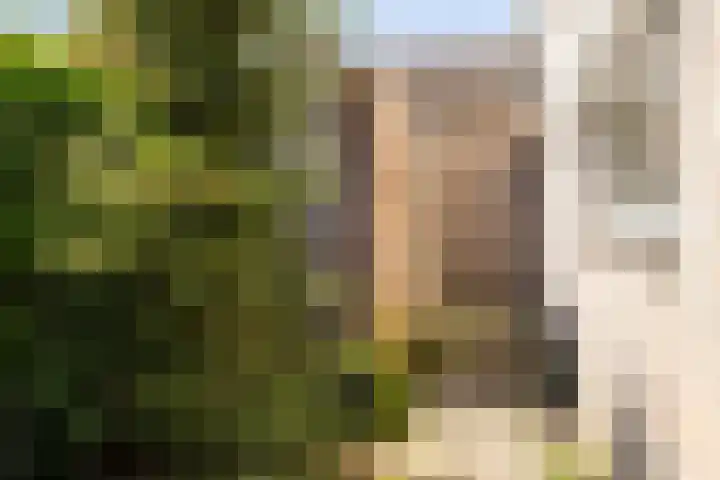 Koevinkje 5 Breda thumbnail 15