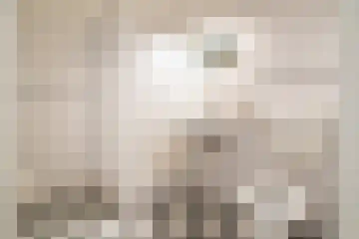 Koevinkje 5 Breda thumbnail 19