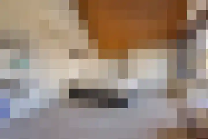 Koevinkje 5 Breda thumbnail 20