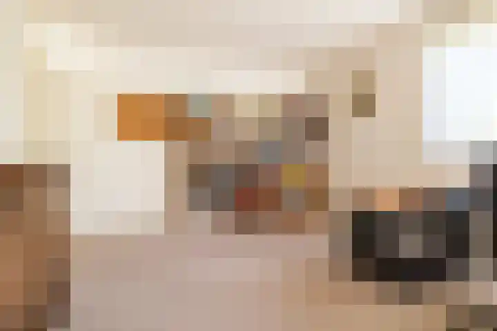 Koevinkje 5 Breda thumbnail 23