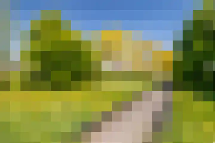 Koevinkje 5 Breda thumbnail 27