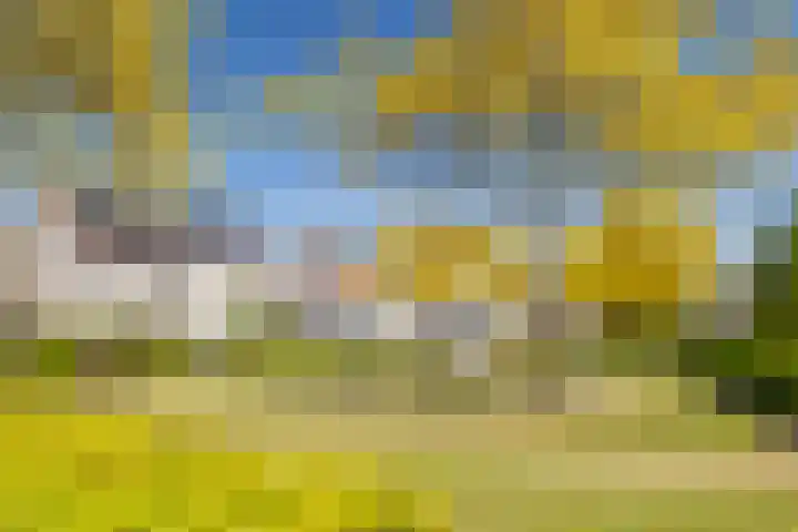 Koevinkje 5 Breda thumbnail 28