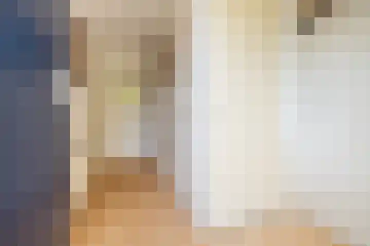 Koevinkje 5 Breda foto 3