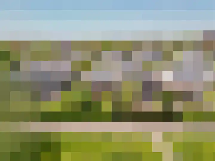 Koevinkje 5 Breda thumbnail 34