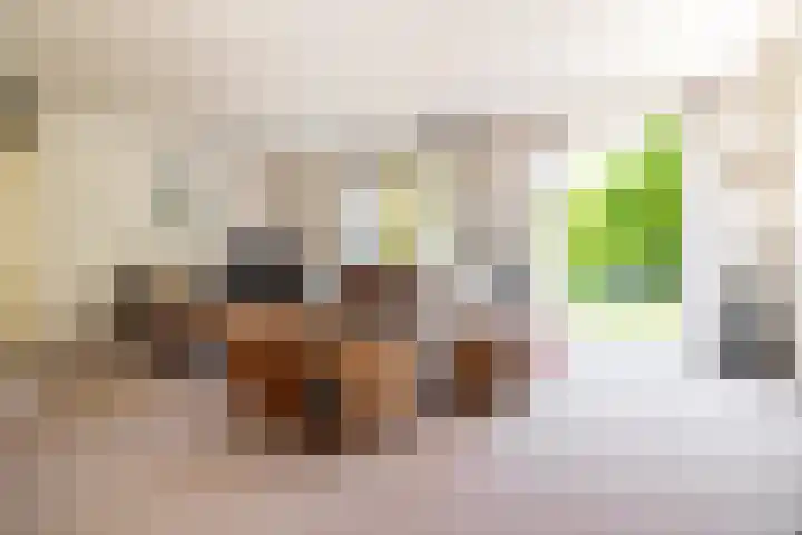Koevinkje 5 Breda thumbnail 5