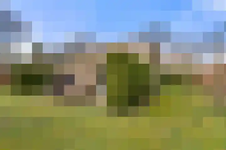Koeweg 16 3 Otterlo thumbnail 29