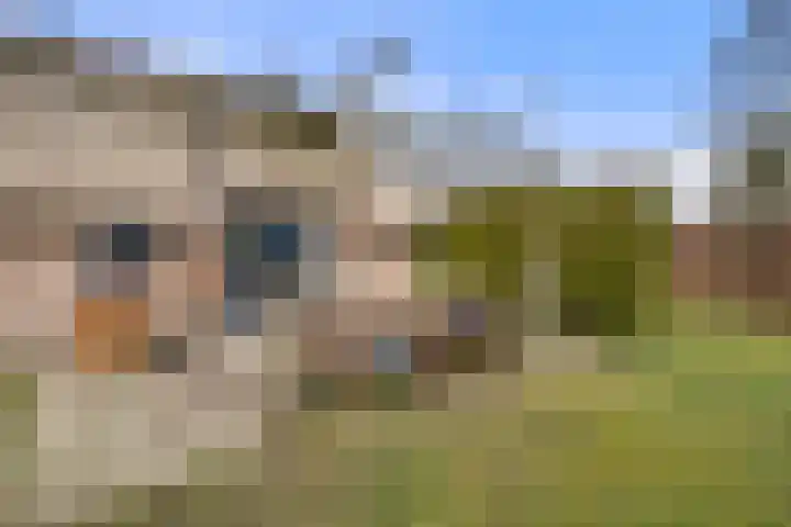 Koeweg 16 3 Otterlo thumbnail 30