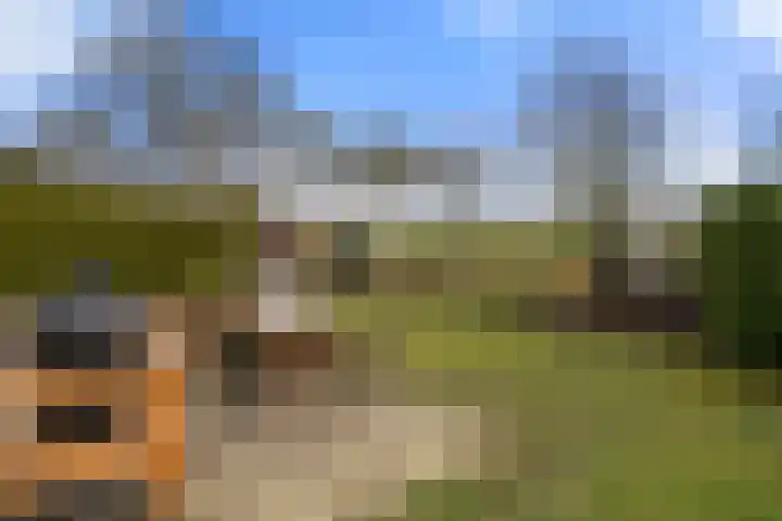 Koeweg 16 3 Otterlo thumbnail 31