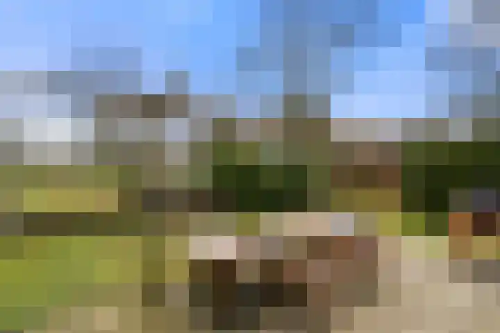 Koeweg 16 3 Otterlo thumbnail 32
