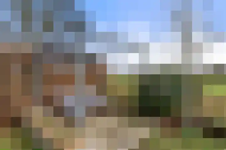 Koeweg 16 3 Otterlo thumbnail 35