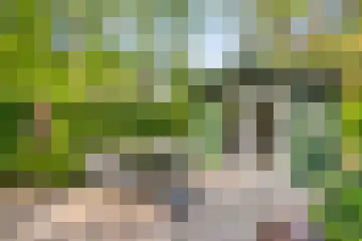 Koeweg 17 17 Epe thumbnail 21
