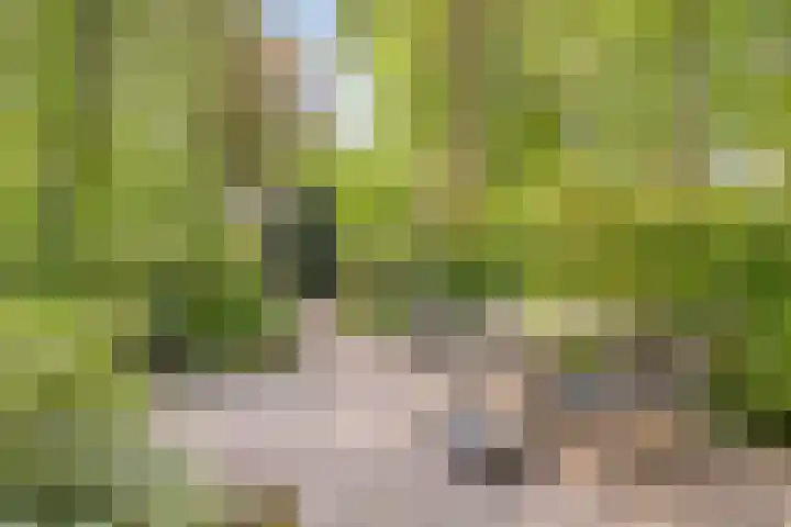 Koeweg 17 17 Epe thumbnail 22