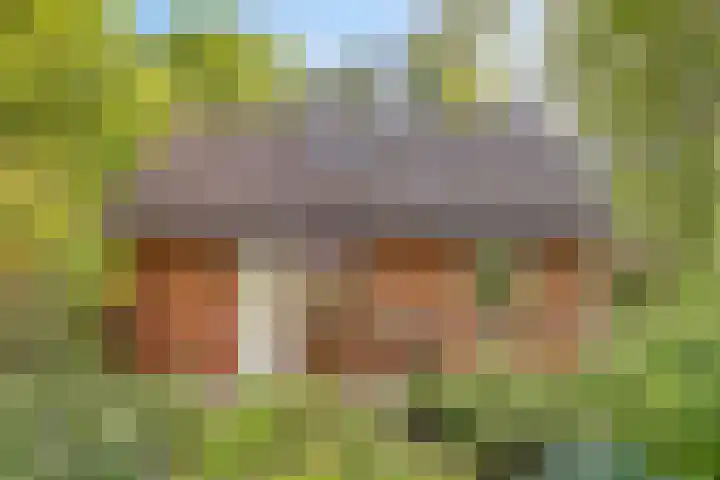 Koeweg 17 17 Epe thumbnail 6