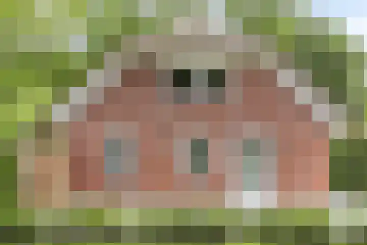 Koeweg 21 129 Epe thumbnail 4