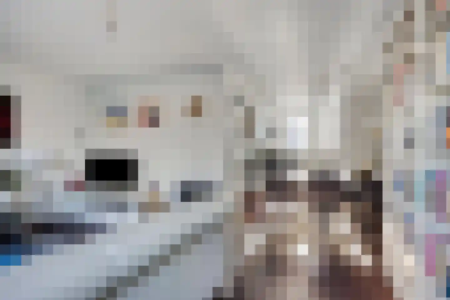 Koewei 93 Arnhem thumbnail 13
