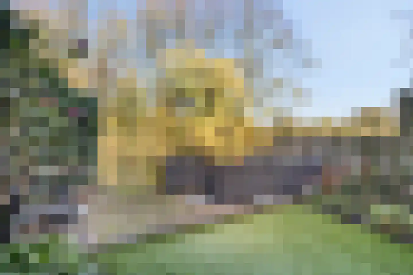 Koewei 93 Arnhem thumbnail 17