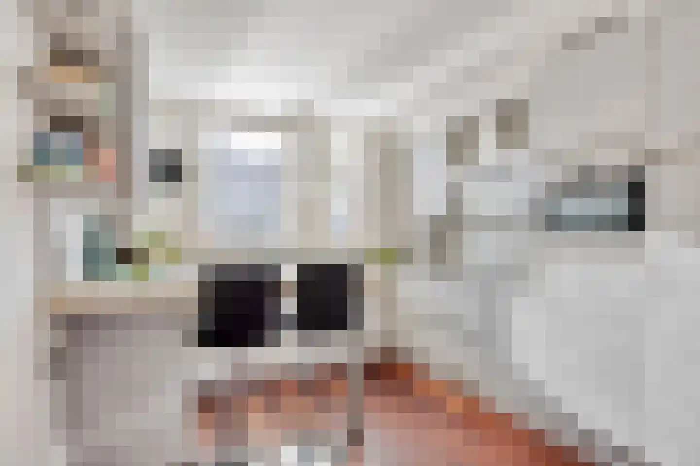 Koewei 93 Arnhem thumbnail 8