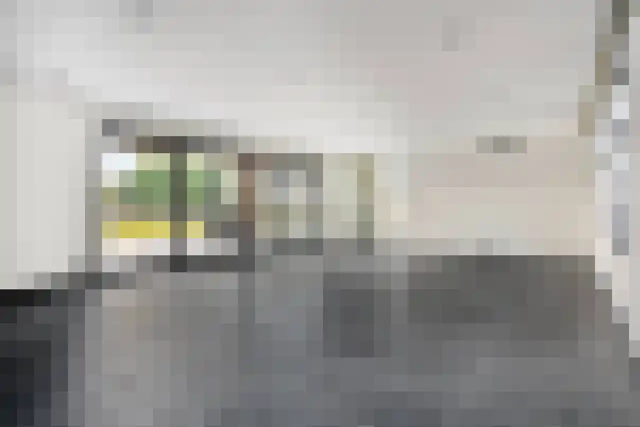 Koeweide 48 Elsloo thumbnail 11