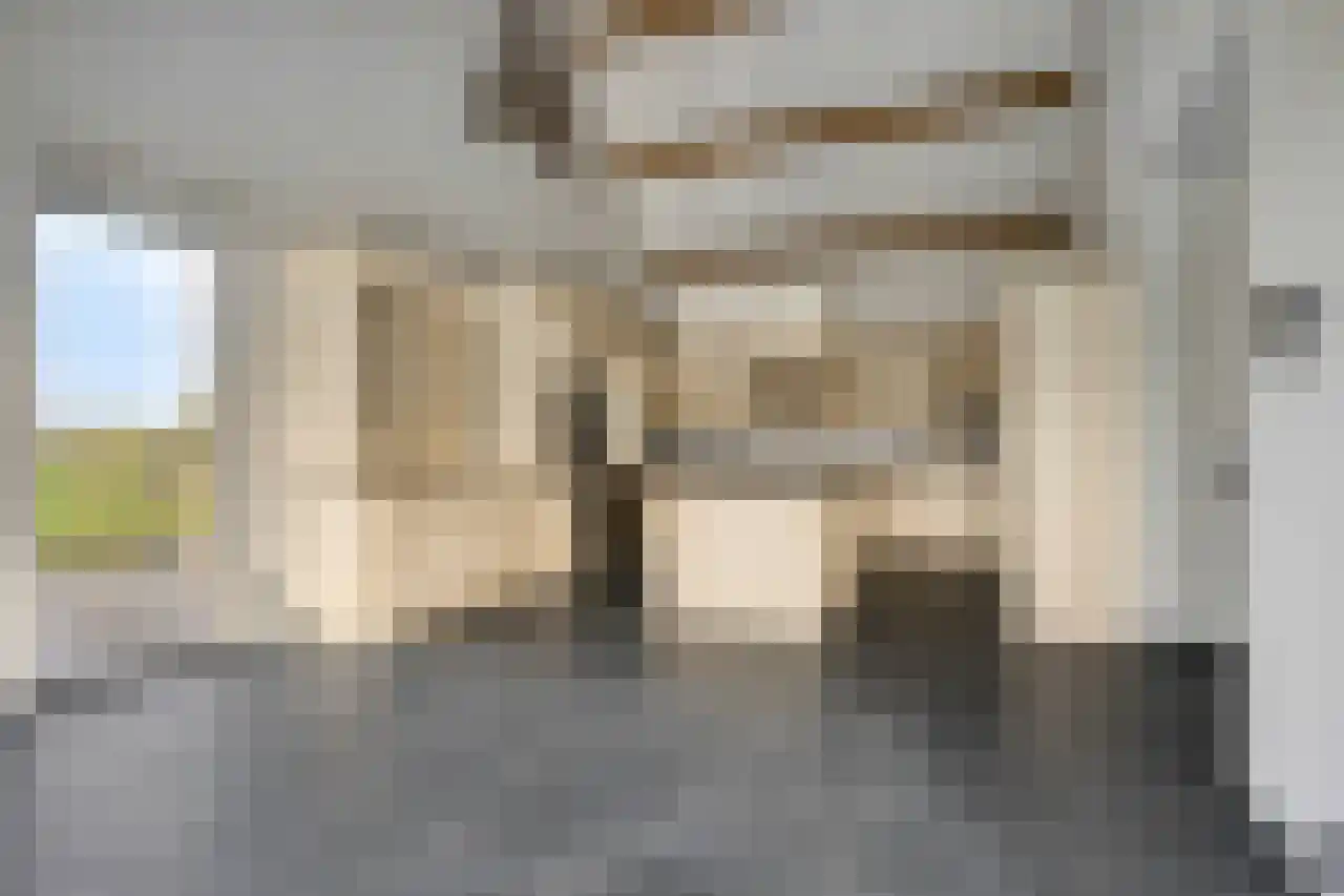 Koeweide 48 Elsloo thumbnail 15
