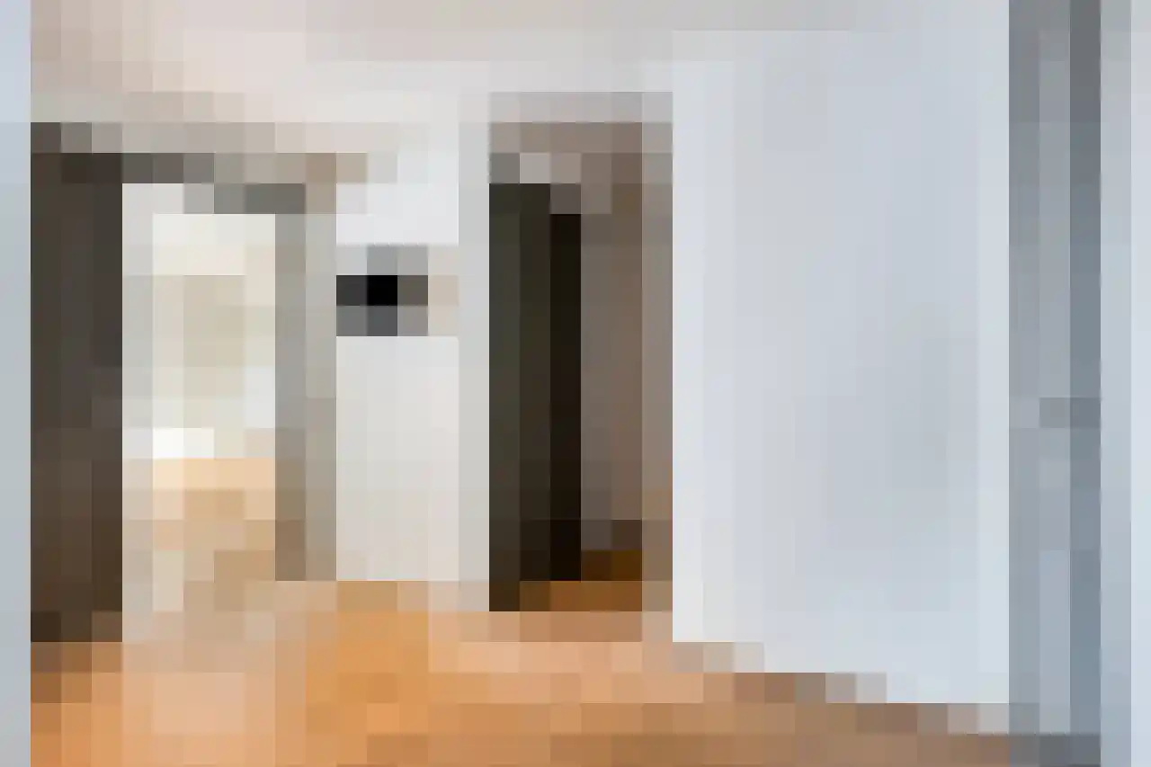Koeweide 48 Elsloo thumbnail 22