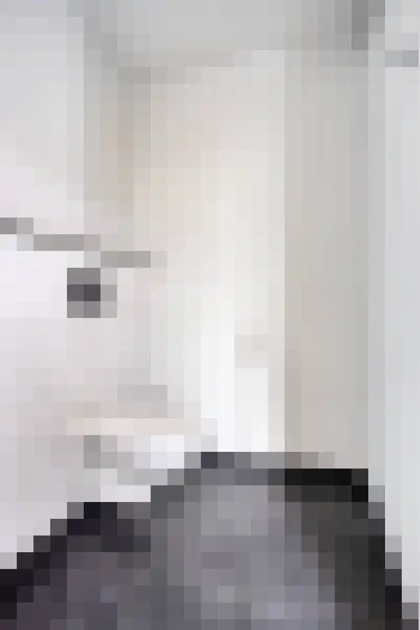 Koeweide 48 Elsloo thumbnail 27