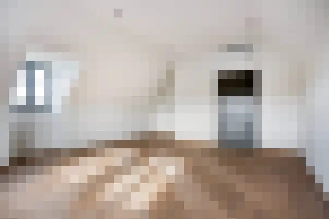 Koeweide 48 Elsloo thumbnail 31