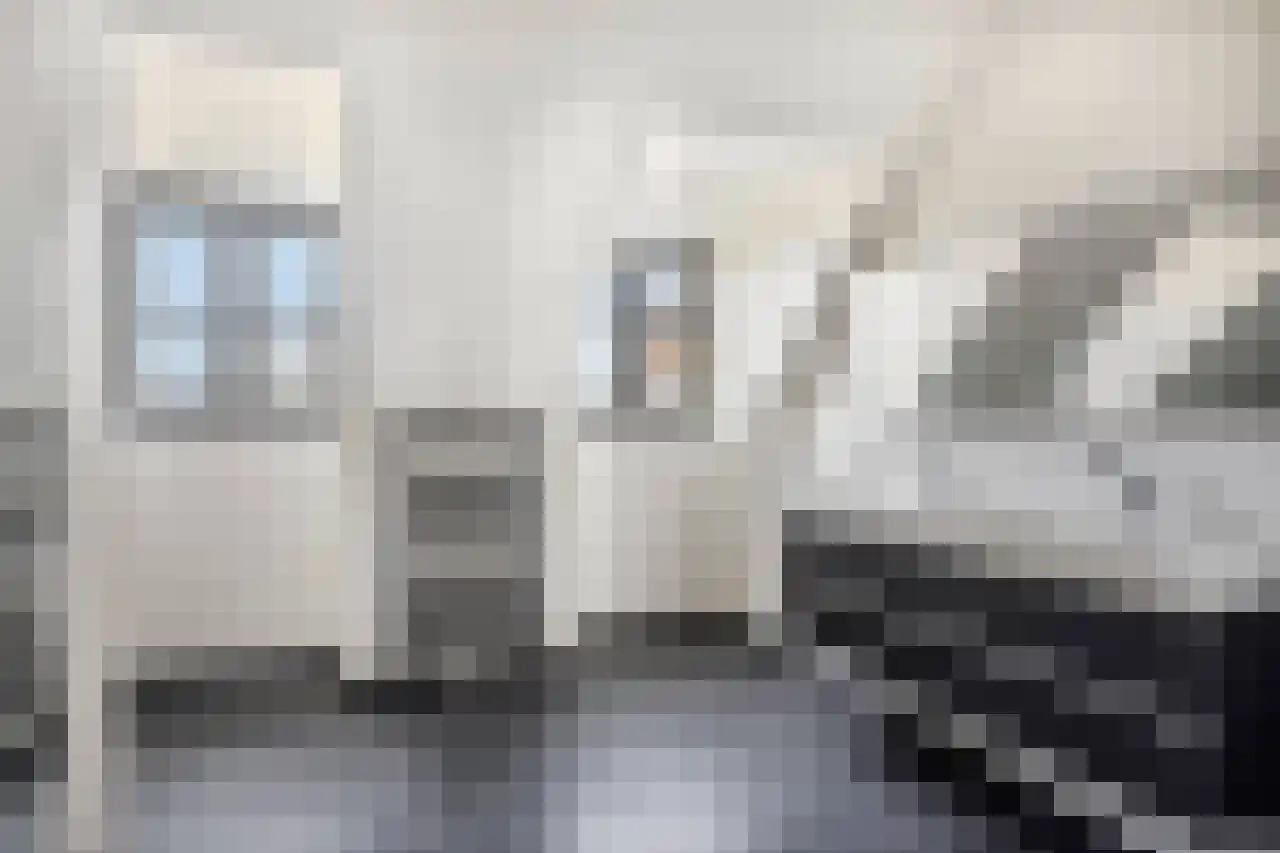 Koeweide 48 Elsloo thumbnail 32