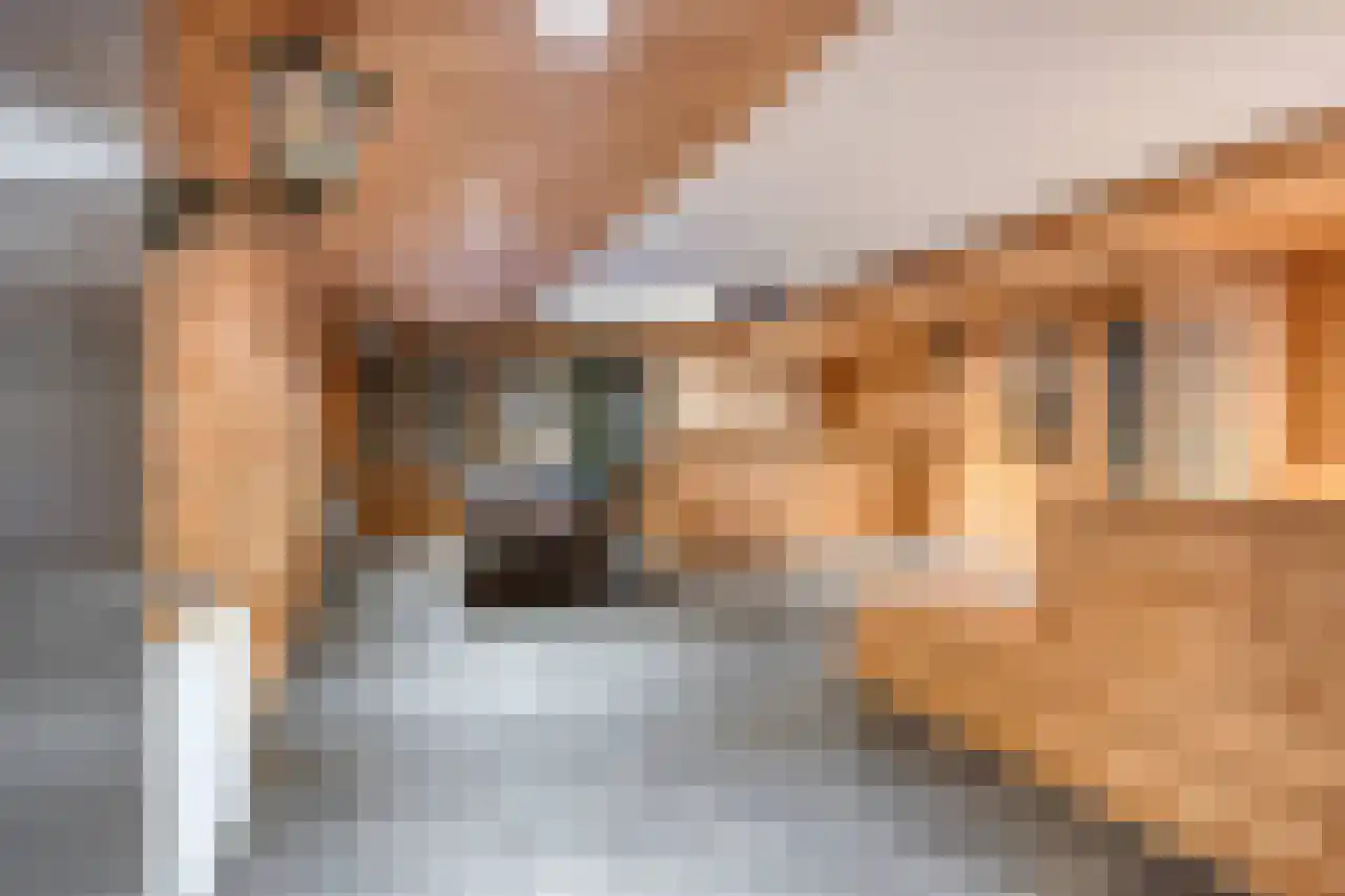 Koeweide 48 Elsloo thumbnail 39