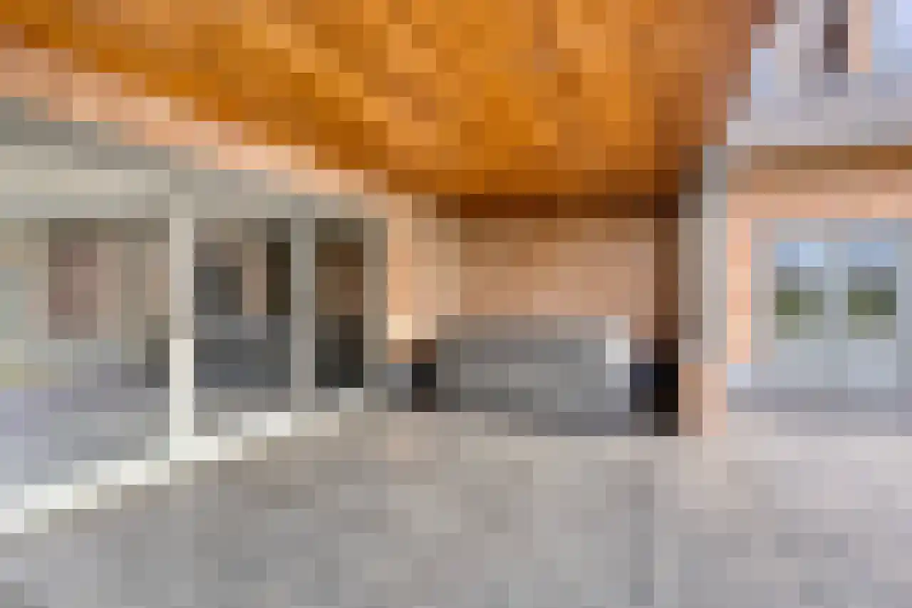 Koeweide 48 Elsloo thumbnail 43