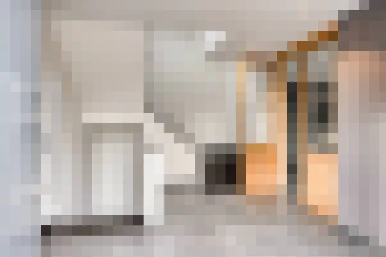 Koeweide 48 Elsloo thumbnail 6
