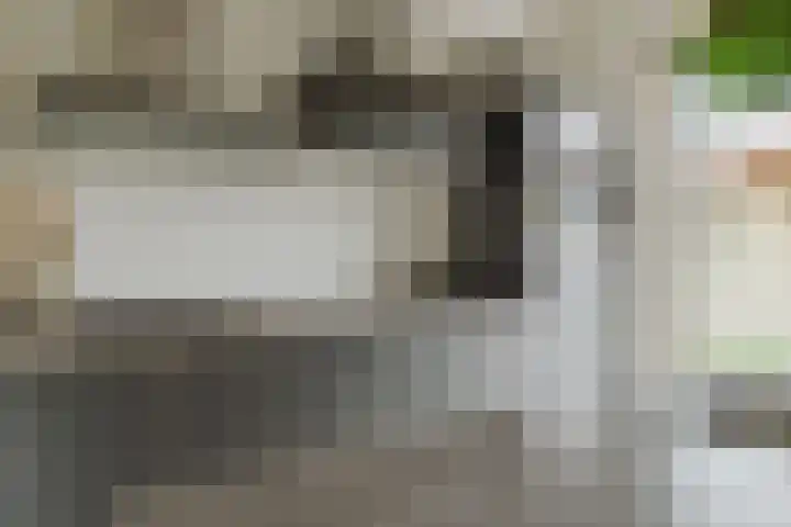 Koeweide 9 Rijsbergen thumbnail 18