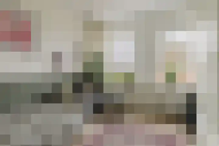 Koeweide 9 Rijsbergen thumbnail 25