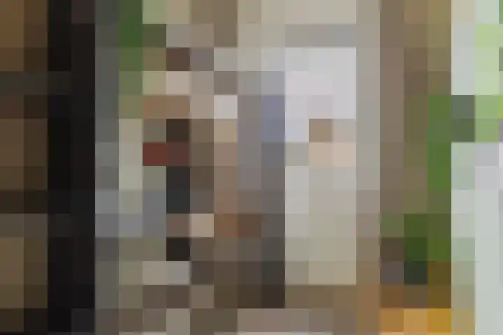 Koeweide 9 Rijsbergen thumbnail 26