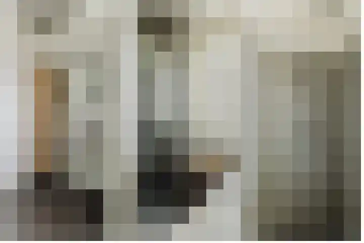 Koeweide 9 Rijsbergen thumbnail 28