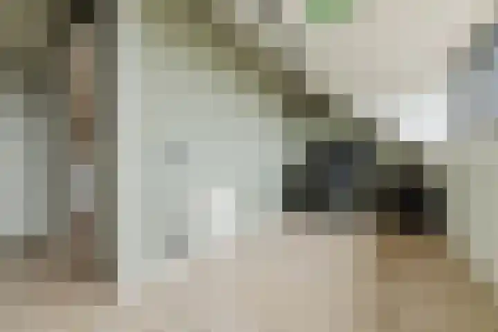 Koeweide 9 Rijsbergen thumbnail 29