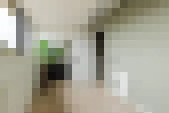 Koeweide 9 Rijsbergen thumbnail 30