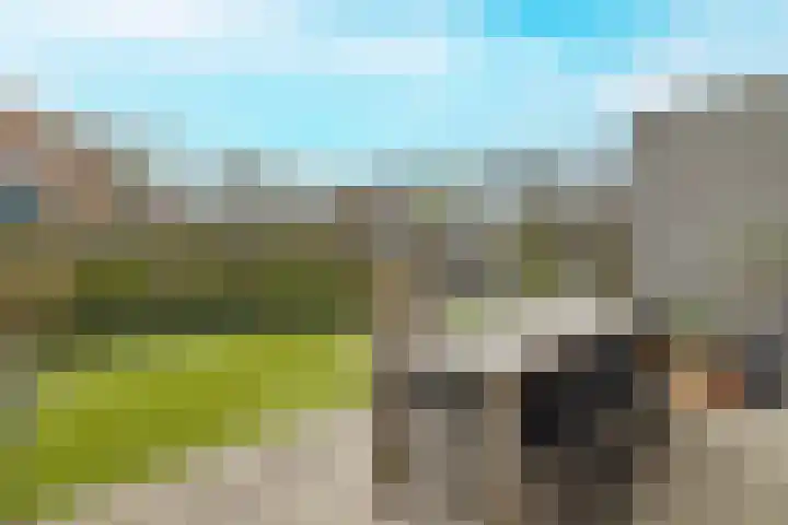 Koeweide 9 Rijsbergen thumbnail 34