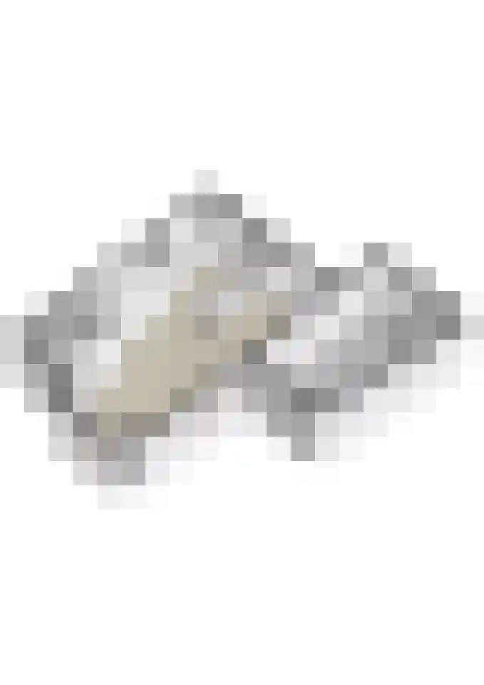 Koeweide 9 Rijsbergen thumbnail 41