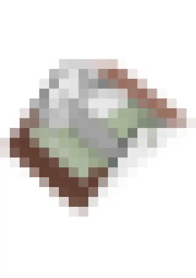 Koeweide 9 Rijsbergen thumbnail 45