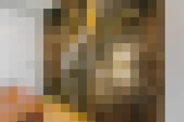 Kogelmolen 6 Muiden thumbnail 16