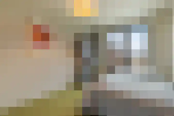 Kogelmolen 6 Muiden thumbnail 17