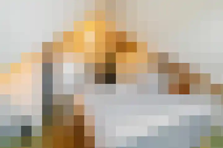 Kogelmolen 6 Muiden thumbnail 23