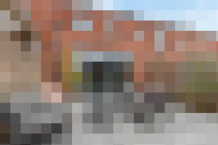 Kogelmolen 6 Muiden thumbnail 27