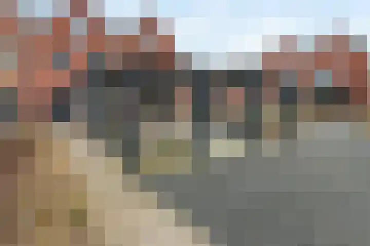 Kogelmolen 6 Muiden thumbnail 31