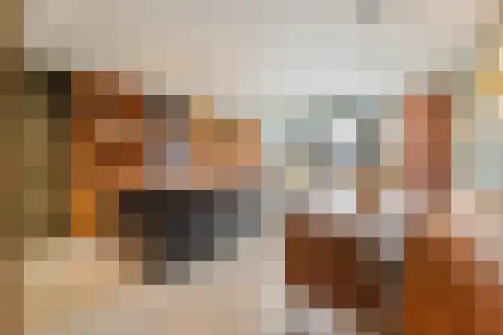 Kogelmolen 6 Muiden thumbnail 8