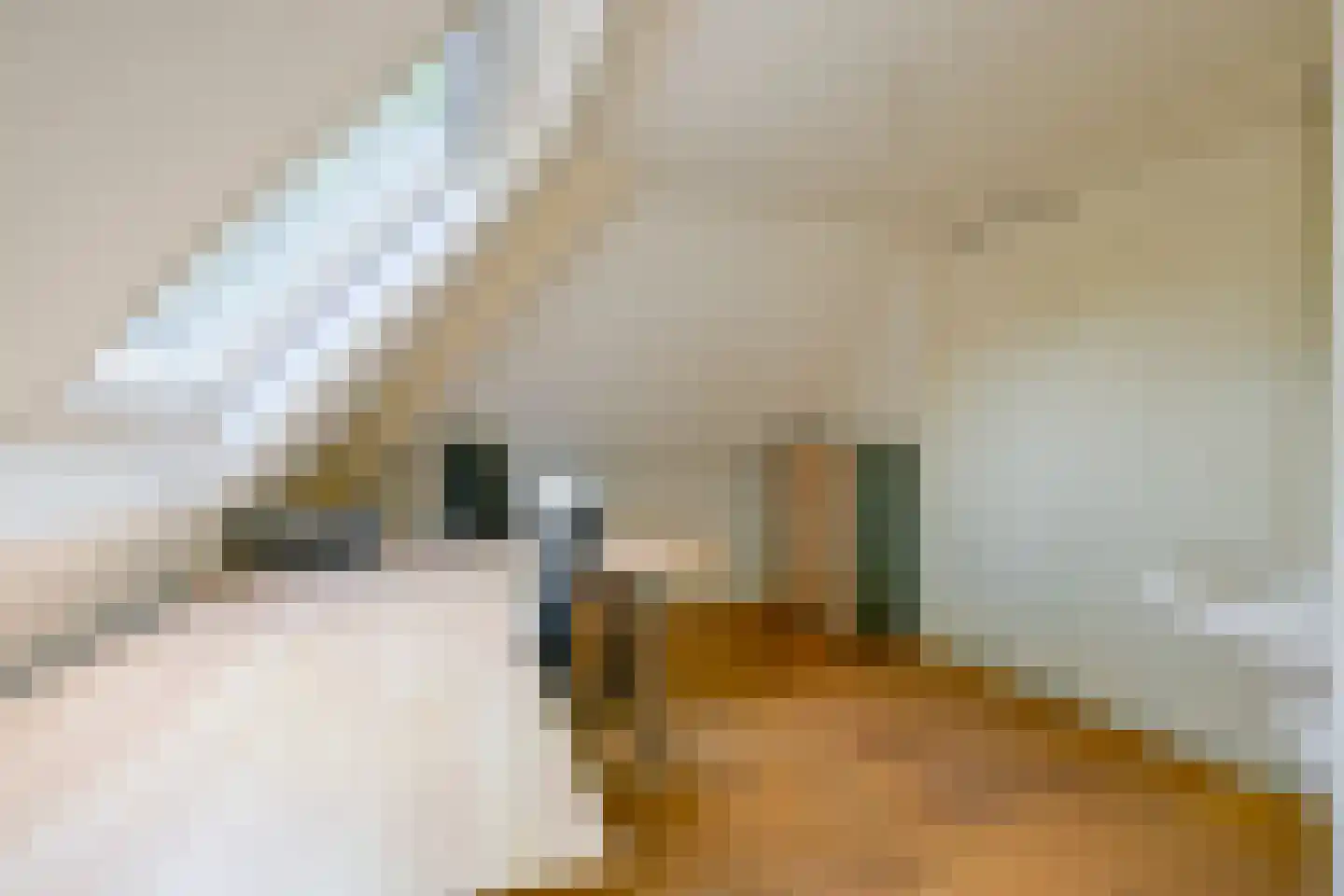 Kogendijk 98 Alkmaar thumbnail 21