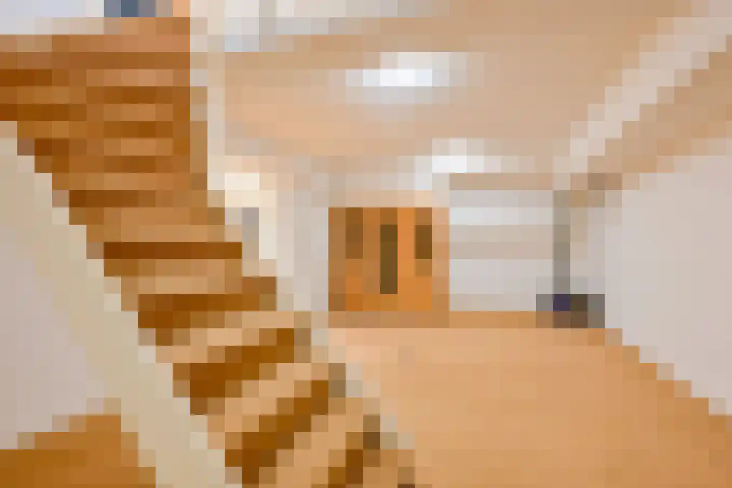 Kogendijk 98 Alkmaar thumbnail 30